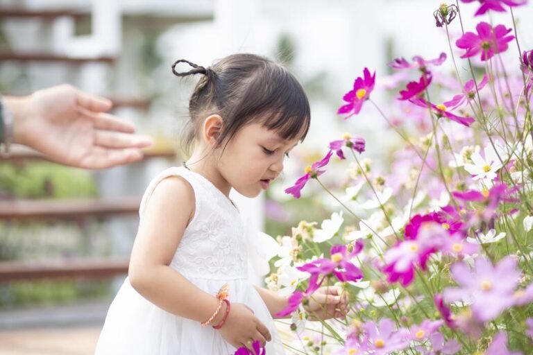Female hands touch flowers on background with beautiful flowers ...